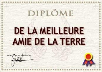 DiPloMe De La MeILLeUr aMie dE La TeRre